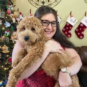 Meet your Posher, Januari